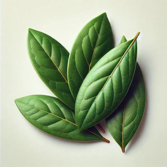 Bay Leaf