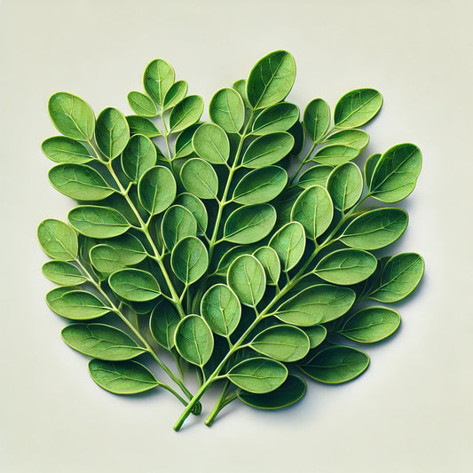 Moringa Leaves