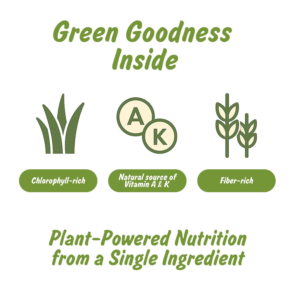 Spice Profile Organic Wheatgrass Powder | 4 oz | Lab Tested