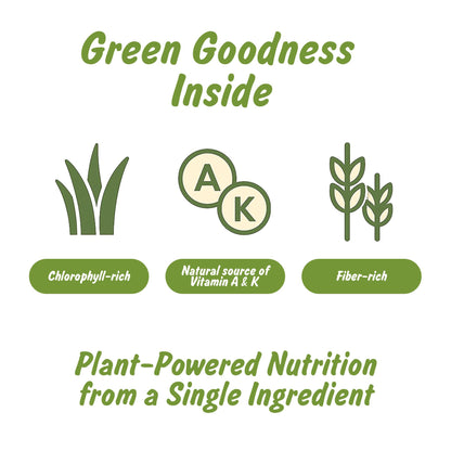 Spice Profile Organic Wheatgrass Powder | 4 oz | Lab Tested