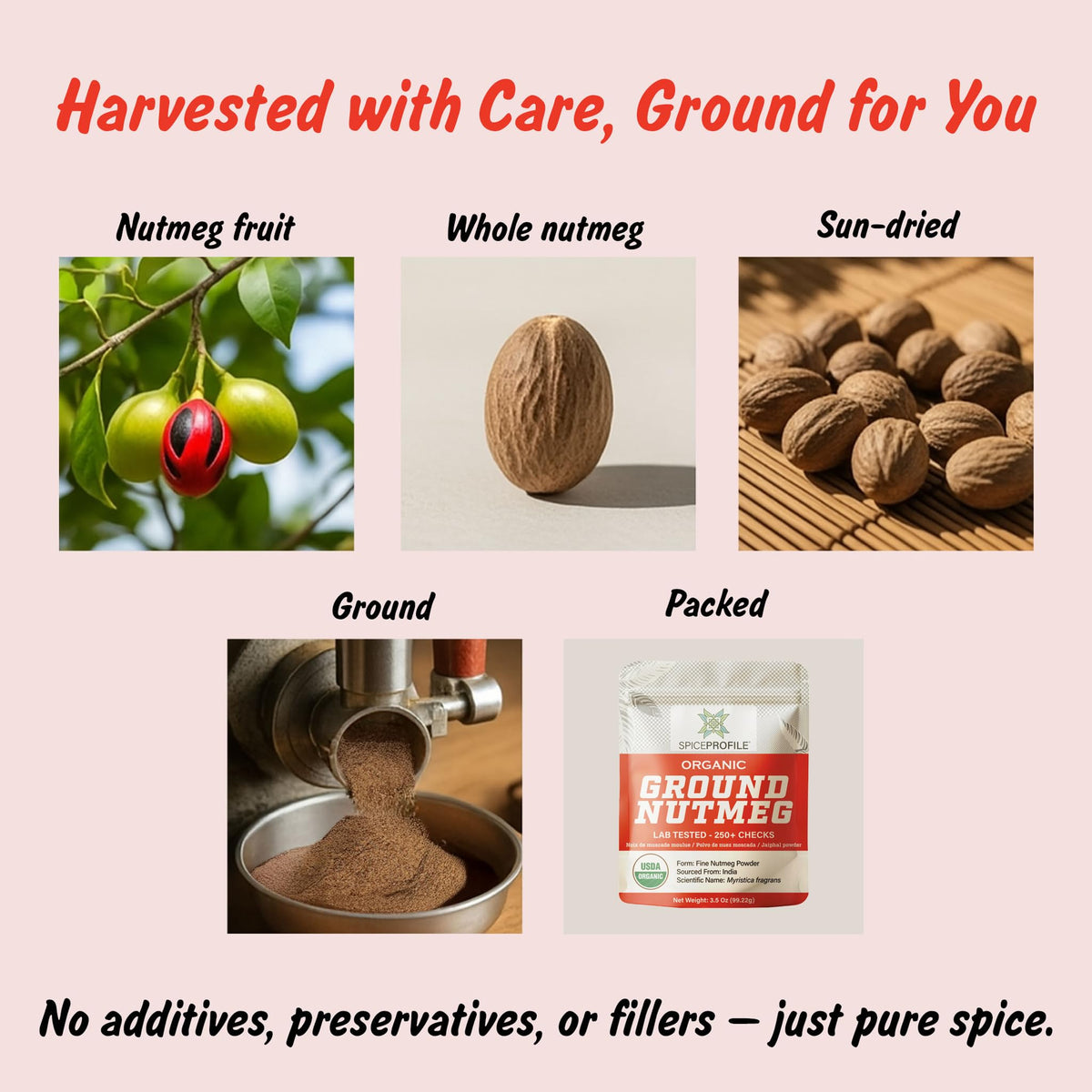 Spice Profile USDA Organic Ground Nutmeg Powder, 3.5 oz, Lab Tested