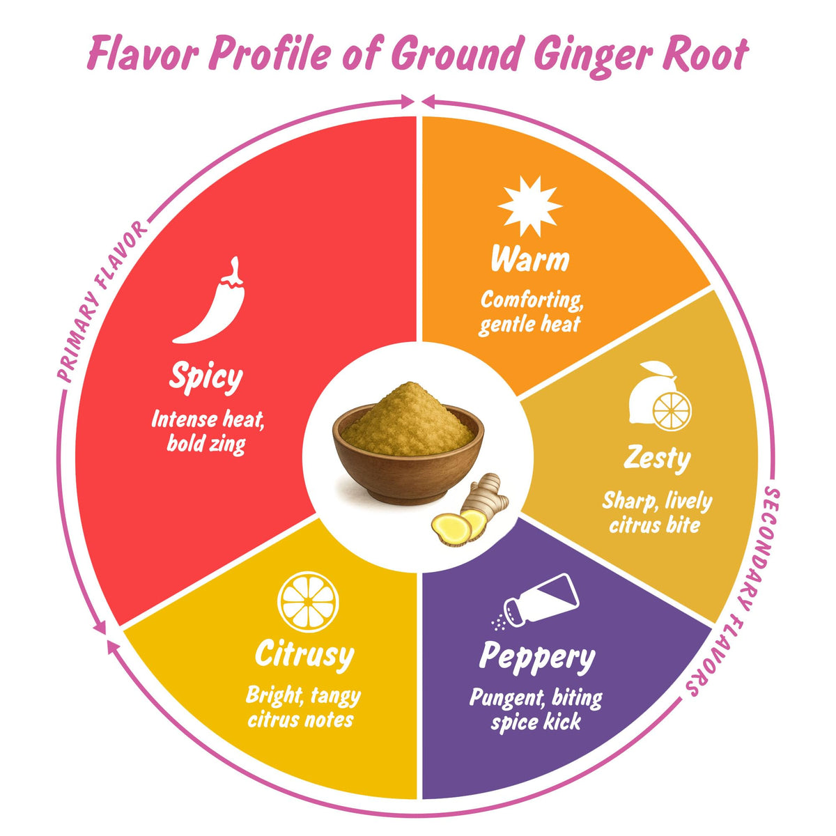 Spice Profile Organic Ground Ginger | 16 oz | Lab Tested