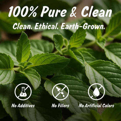 Spice Profile USDA Organic Indian Tulsi/Holy Basil Cut & Sifted, 2 oz, Lab Tested for Heavy Metals, Ocimum sanctum, Albahaca Sagrada