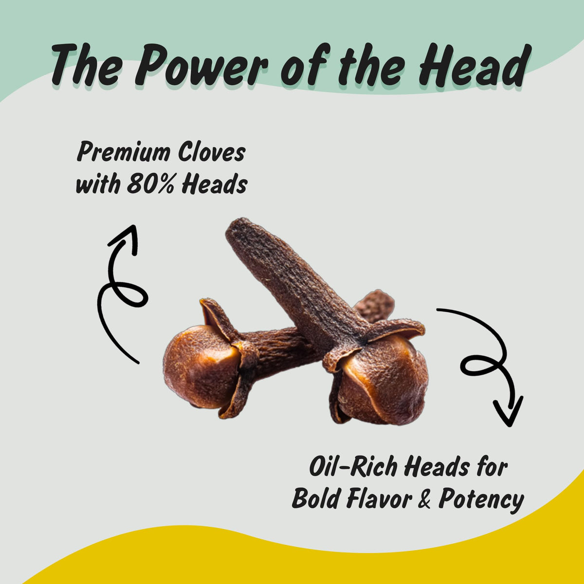 Spice Profile Organic Whole Cloves | 3.5 oz | Lab Tested