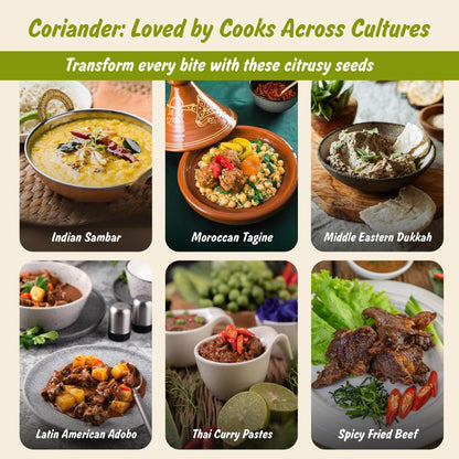 Spice Profile Organic Whole Coriander Seeds | 4 oz | Lab Tested