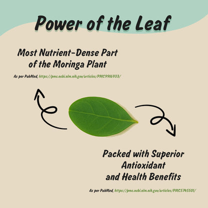 Spice Profile USDA Organic Moringa Leaf Powder, 16 oz, Lab Tested