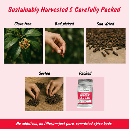 Spice Profile USDA Organic Whole Cloves, Lab Tested, Resealable 3.5 oz Pouch, Laung, Clavos de Olor