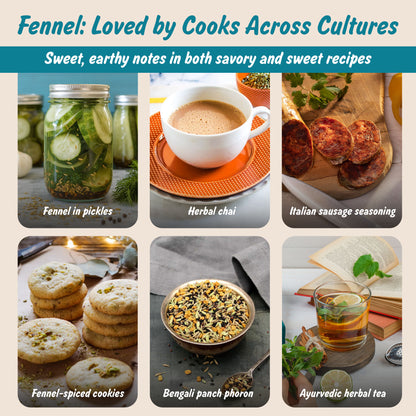 Organic Fennel Seeds | Saunf