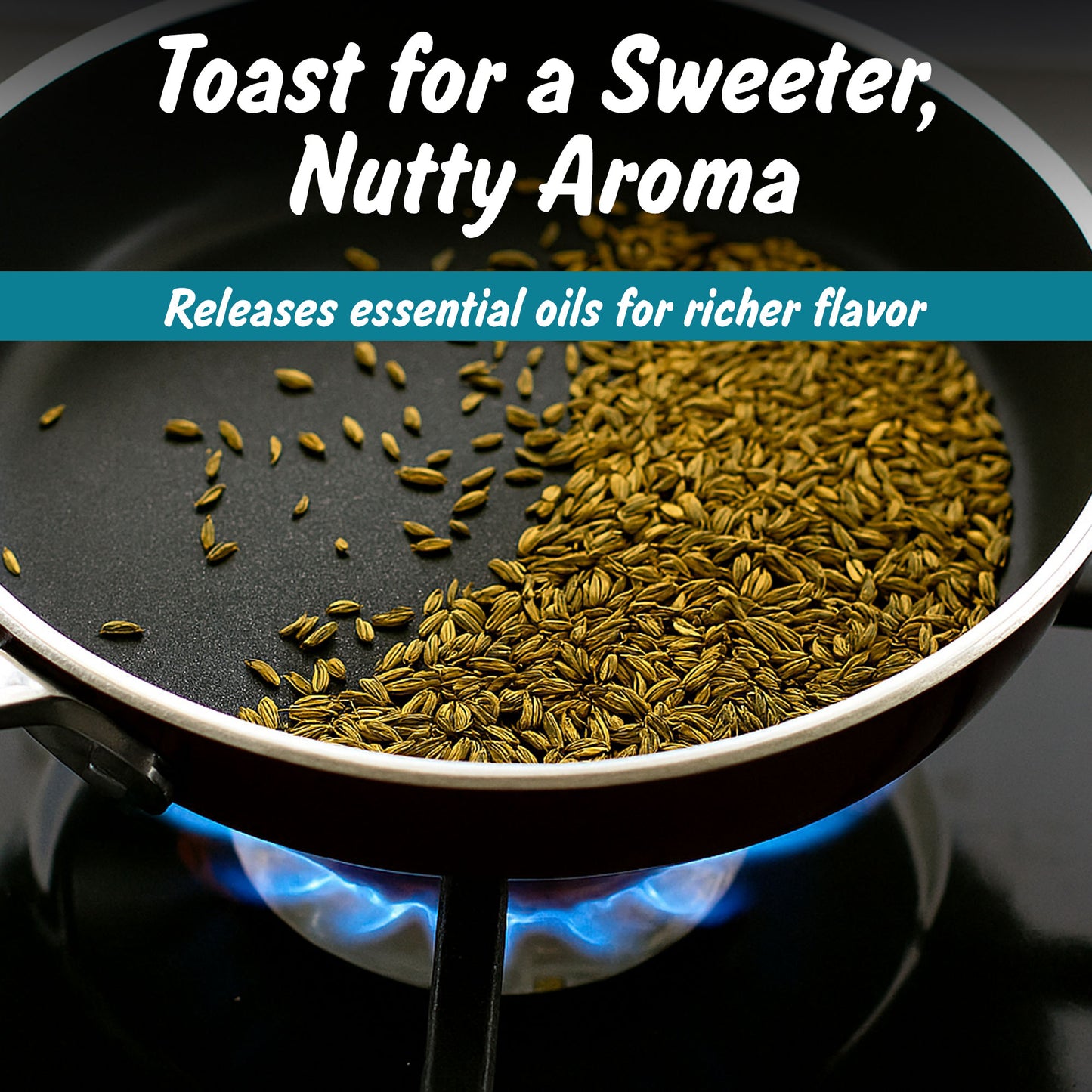 Organic Fennel Seeds | Saunf