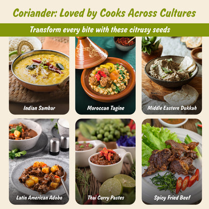 Organic Coriander Seeds (Whole) | Sabut Dhaniya