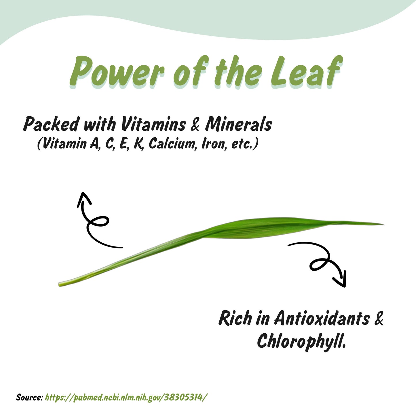 Organic Wheatgrass Powder | Ghehu ka Ghas