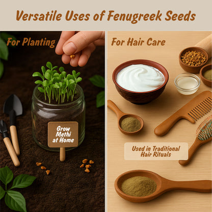 Organic Fenugreek Seeds 4oz | Methi Dana