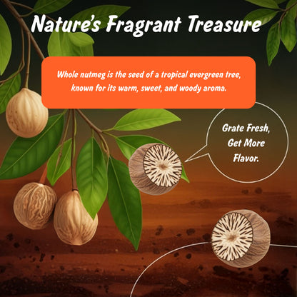 Spice Profile USDA Organic Whole Nutmeg, Lab Tested for Heavy Metals, Resealable 3.5 oz Pouch, Jaiphal, Nuez Moscada
