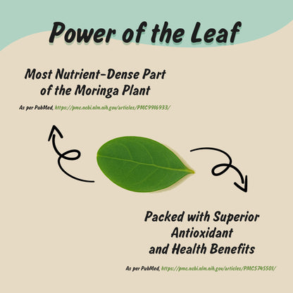 Spice Profile USDA Organic Moringa Powder, Lab Tested for Heavy Metals, Resealable 4 oz Pouch, Moringa Patta Powder, Polvo de Hoja de Moringa