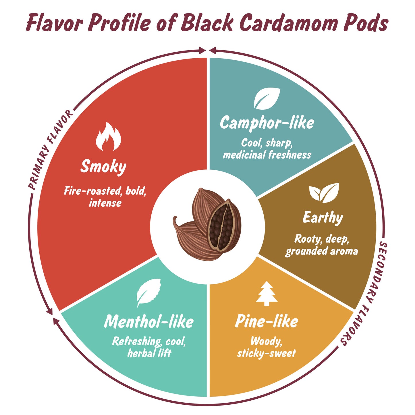 Spice Profile USDA Organic Whole Black Cardamom, 2 oz, Lab Tested for Heavy Metals, Kali Elaichi, Cardamomo Negro