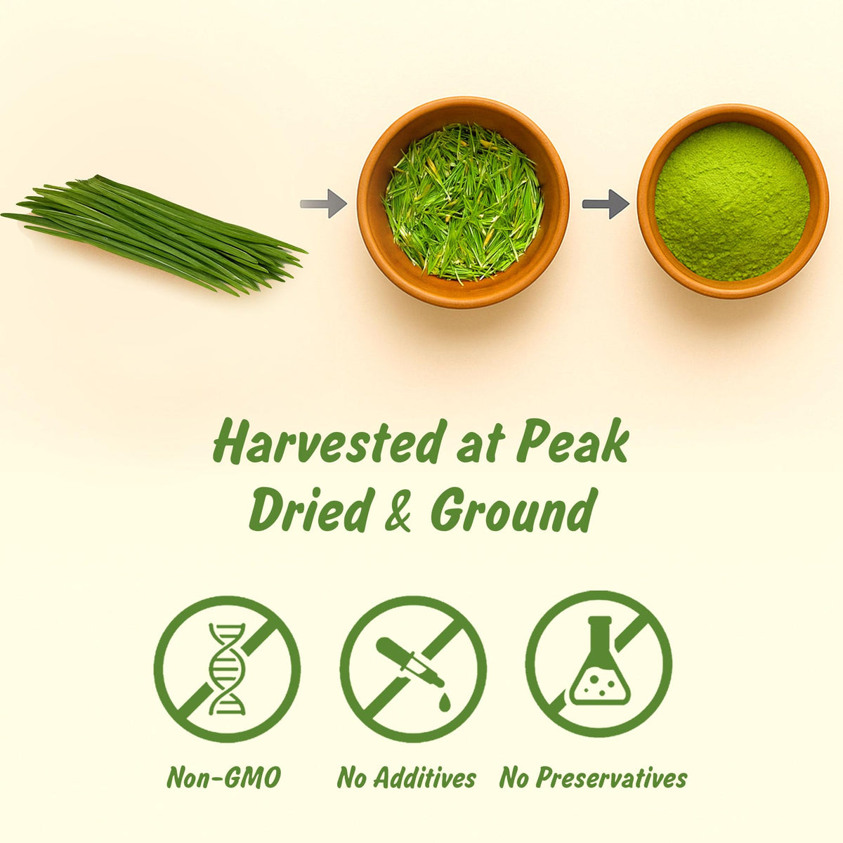 Spice Profile Organic Wheatgrass Powder | 4 oz | Lab Tested