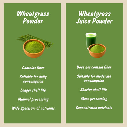 Spice Profile Organic Wheatgrass Powder | 4 oz | Lab Tested
