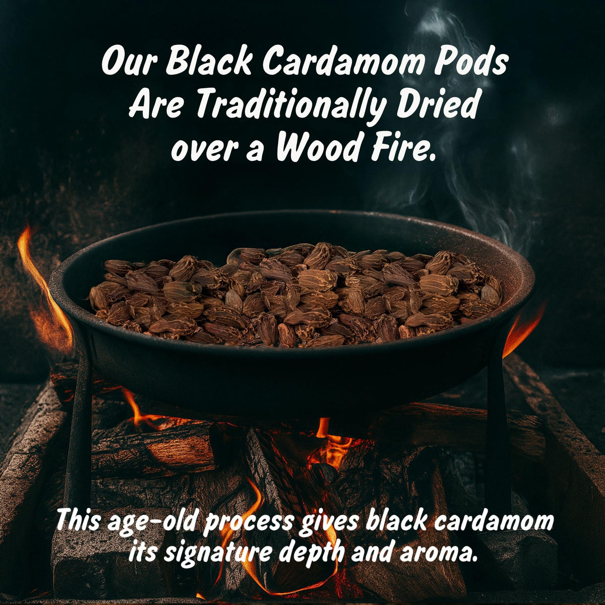 Spice Profile Organic Whole Black Cardamom | 2 oz | Lab Tested