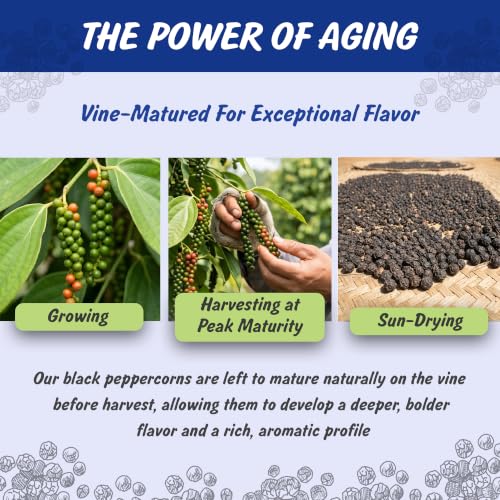 Spice Profile Organic Whole Black Peppercorns | 4 oz | Lab Tested