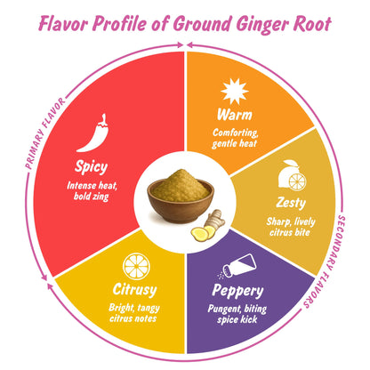 Spice Profile Organic Ground Ginger | 4 oz | Lab Tested