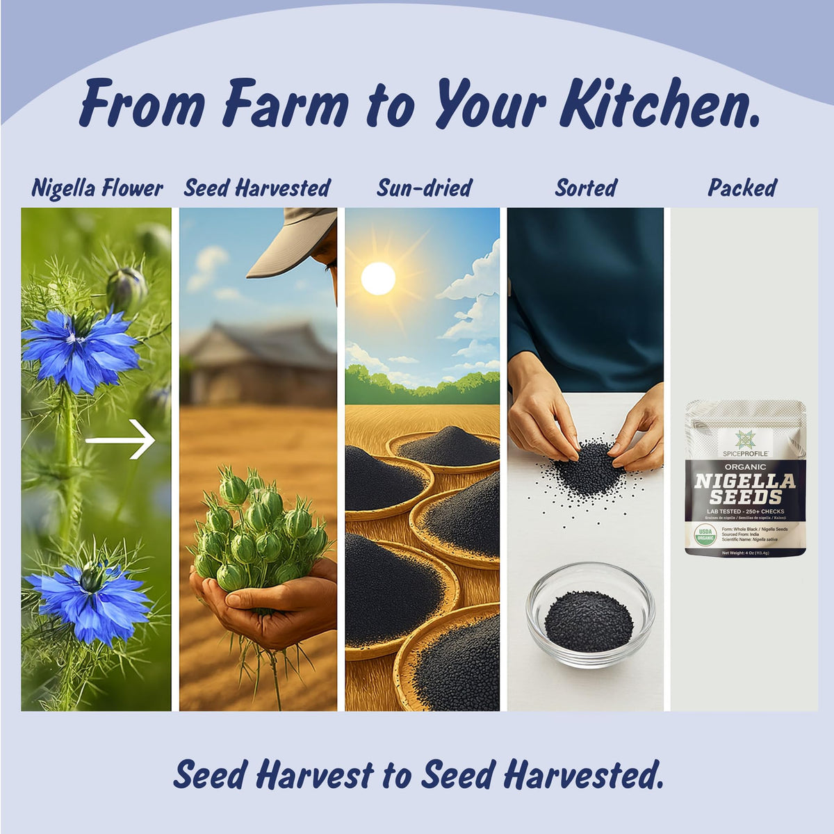 Spice Profile Organic Nigella Seeds | 4 oz | Lab Tested