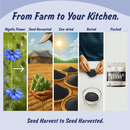 Spice Profile Organic Nigella Seeds | 4 oz | Lab Tested