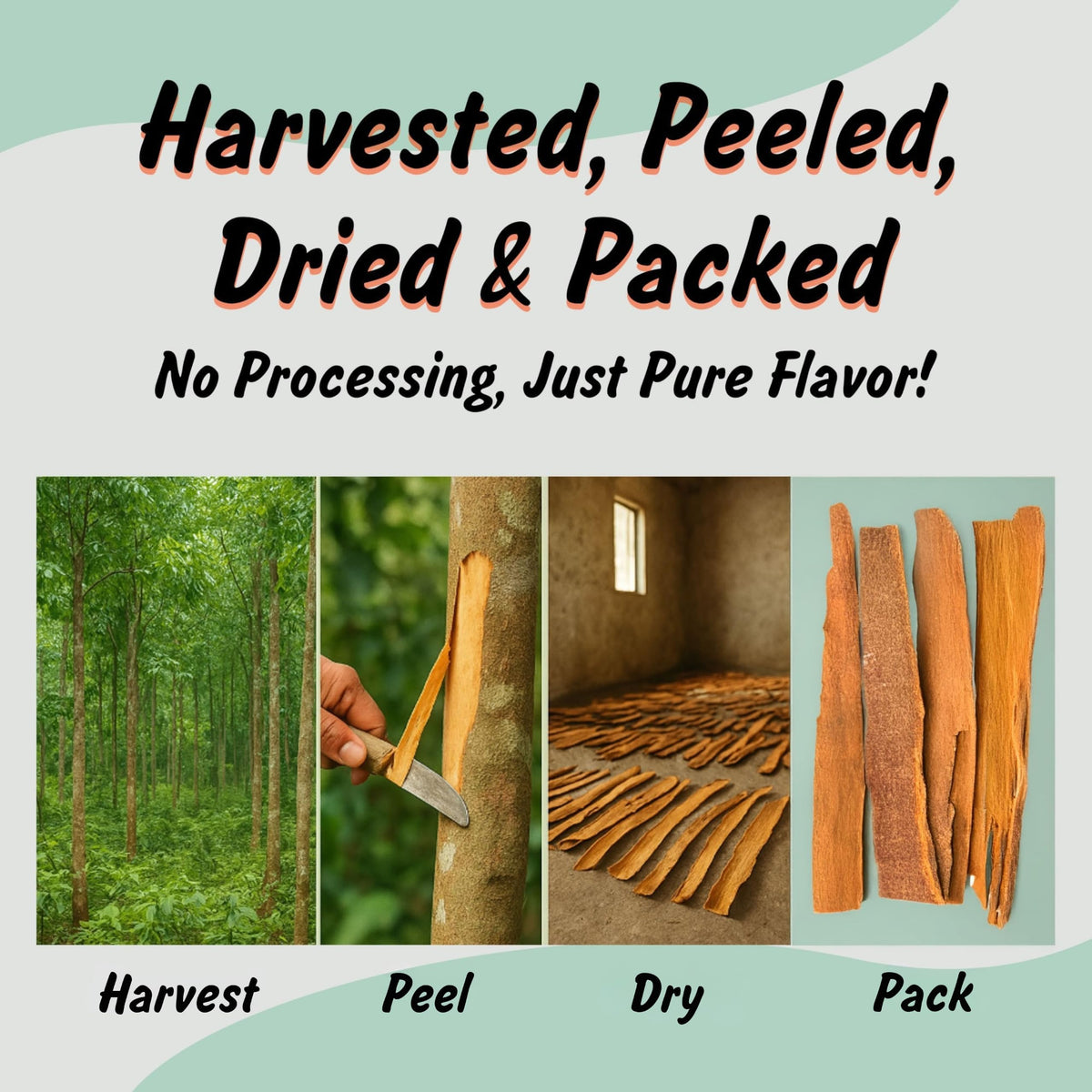 Spice Profile Organic Cassia Cinnamon Flat Barks | 3.5 oz | Lab Tested